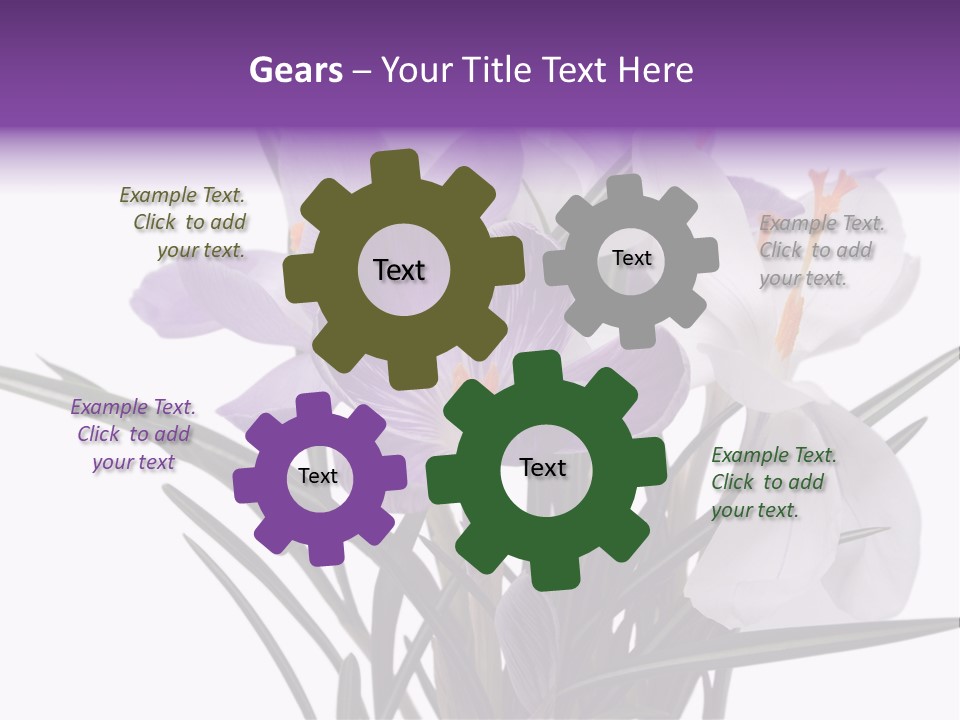 A Vase Filled With Purple And White Flowers PowerPoint Template