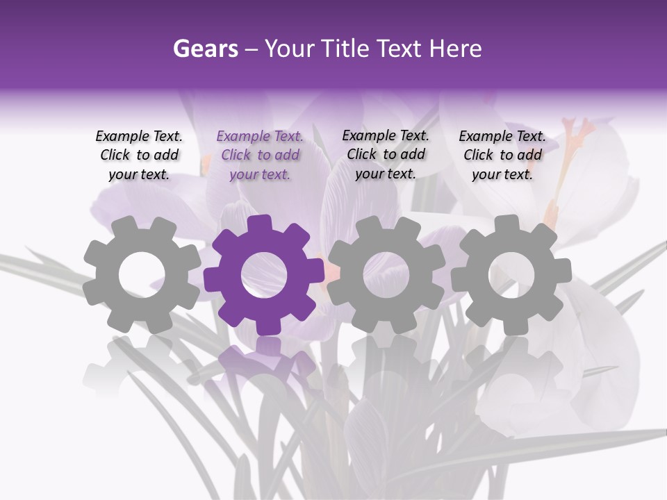 A Vase Filled With Purple And White Flowers PowerPoint Template