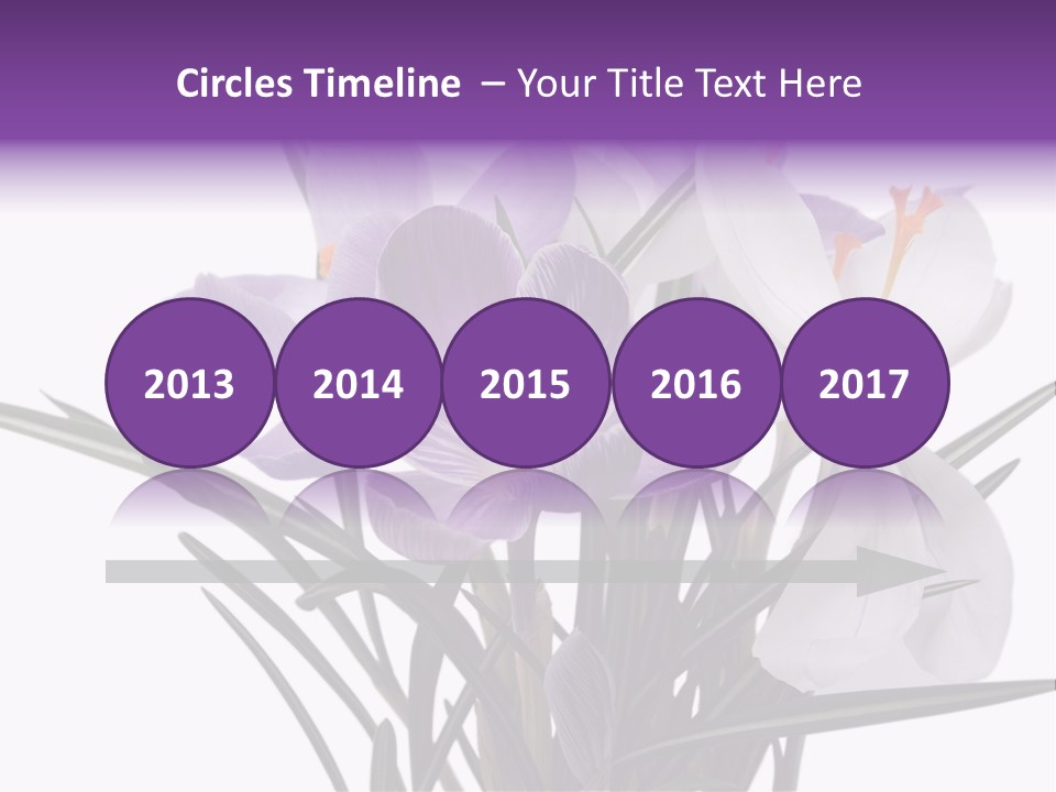 A Vase Filled With Purple And White Flowers PowerPoint Template