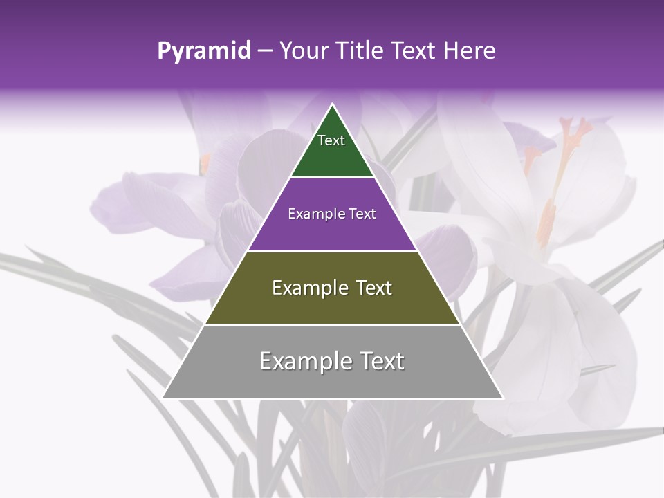 A Vase Filled With Purple And White Flowers PowerPoint Template