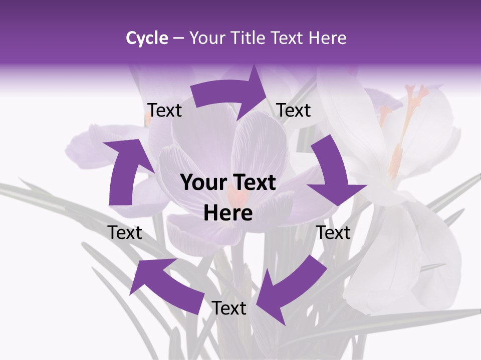 A Vase Filled With Purple And White Flowers PowerPoint Template