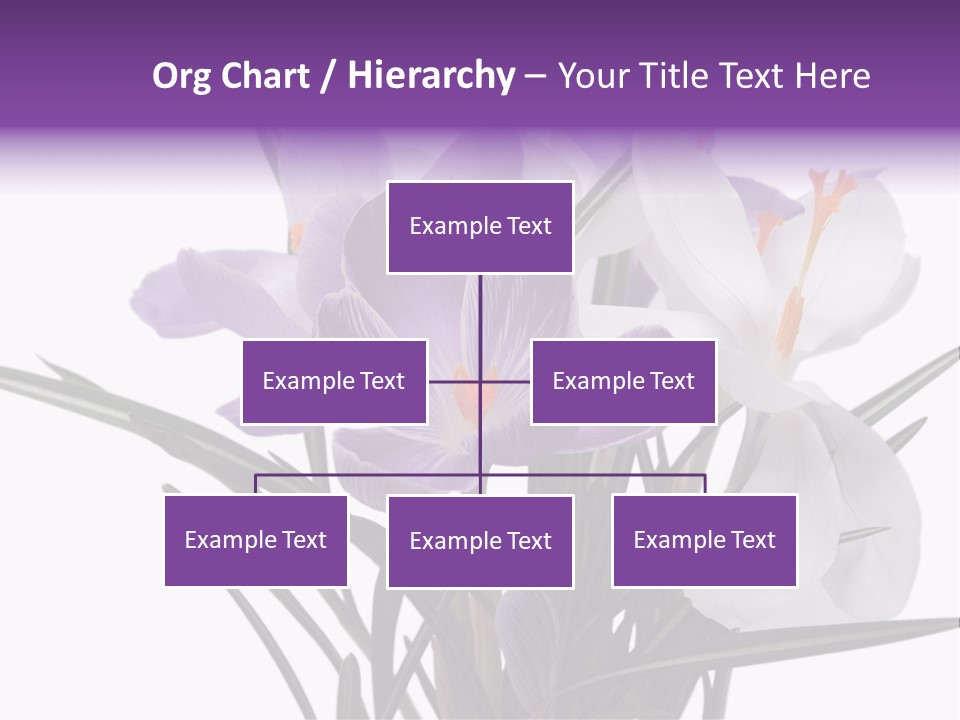A Vase Filled With Purple And White Flowers PowerPoint Template