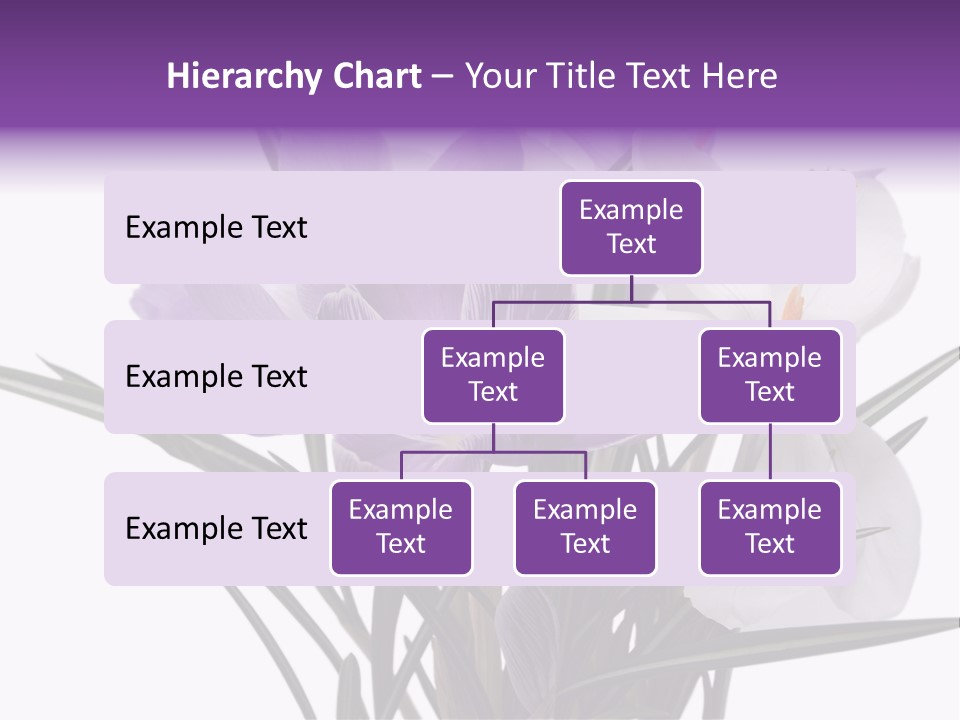 A Vase Filled With Purple And White Flowers PowerPoint Template
