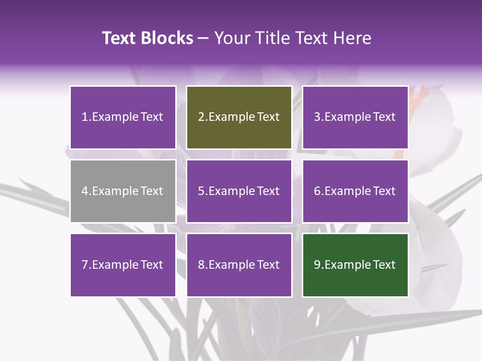 A Vase Filled With Purple And White Flowers PowerPoint Template