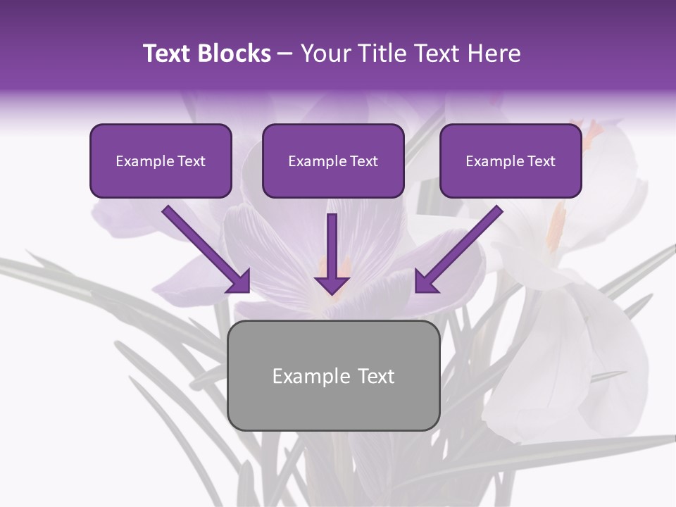 A Vase Filled With Purple And White Flowers PowerPoint Template