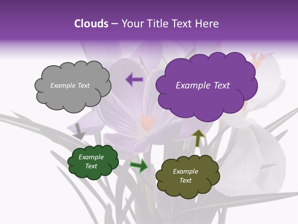 A Vase Filled With Purple And White Flowers PowerPoint Template