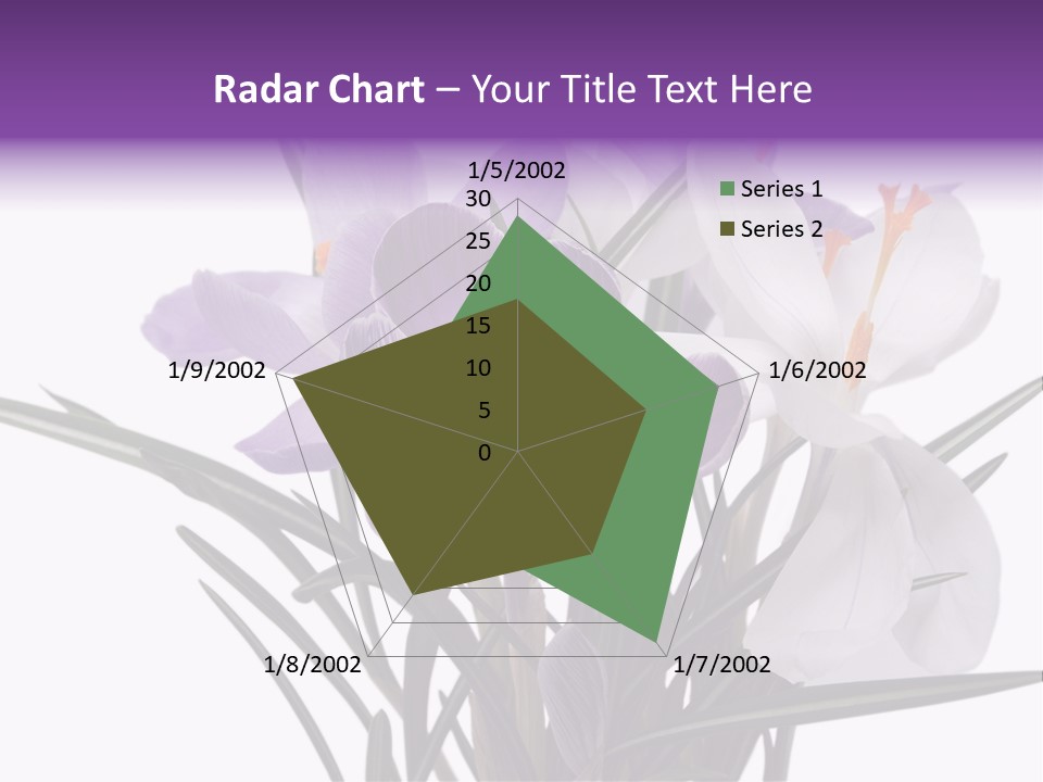 A Vase Filled With Purple And White Flowers PowerPoint Template