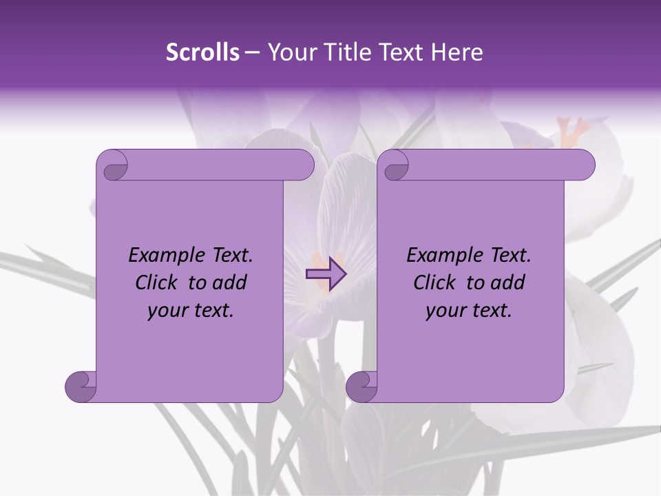 A Vase Filled With Purple And White Flowers PowerPoint Template