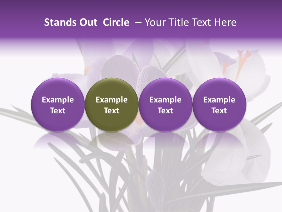 A Vase Filled With Purple And White Flowers PowerPoint Template