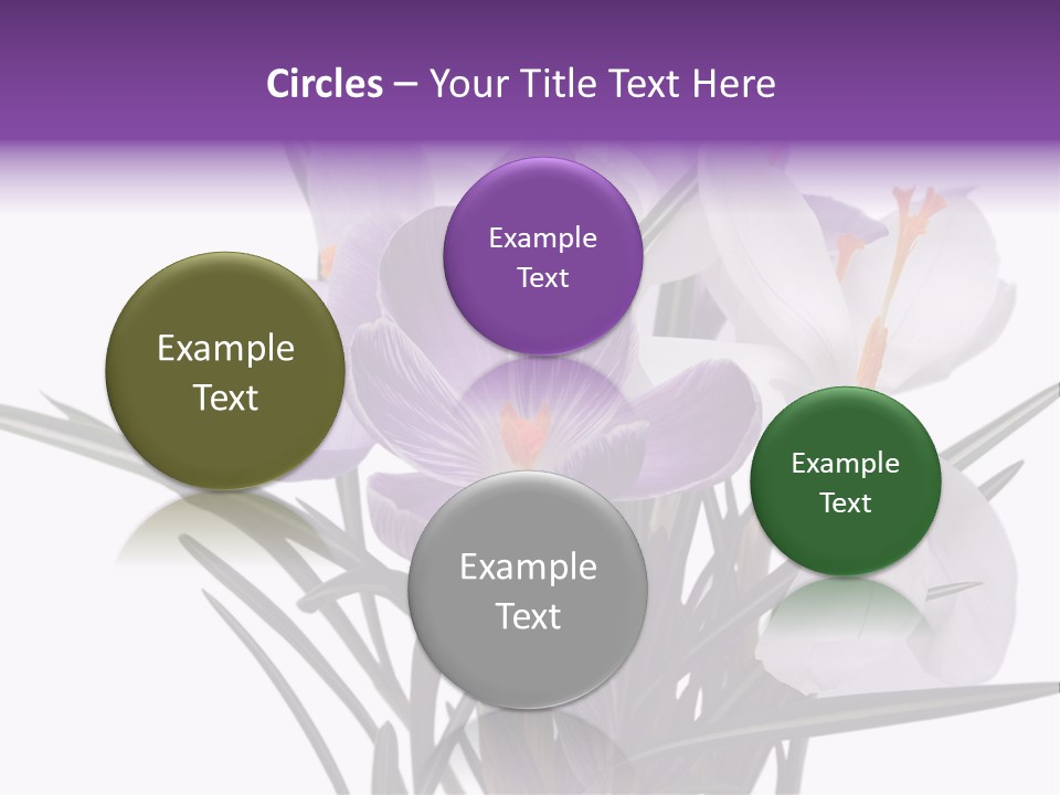 A Vase Filled With Purple And White Flowers PowerPoint Template