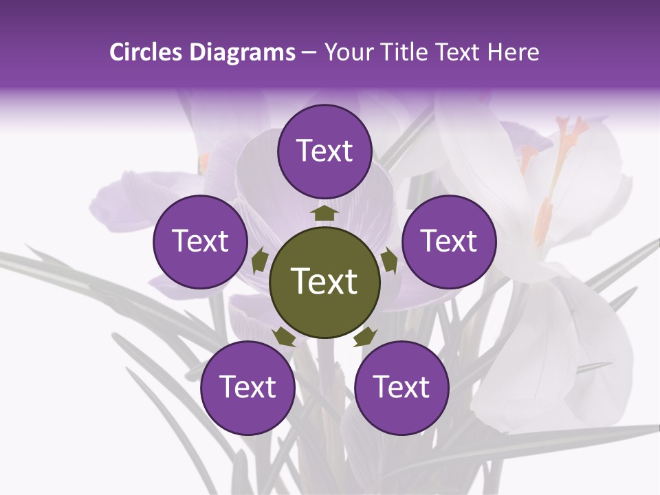 A Vase Filled With Purple And White Flowers PowerPoint Template