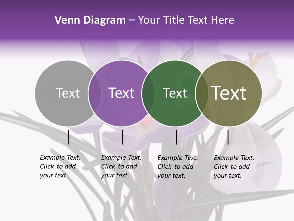 A Vase Filled With Purple And White Flowers PowerPoint Template