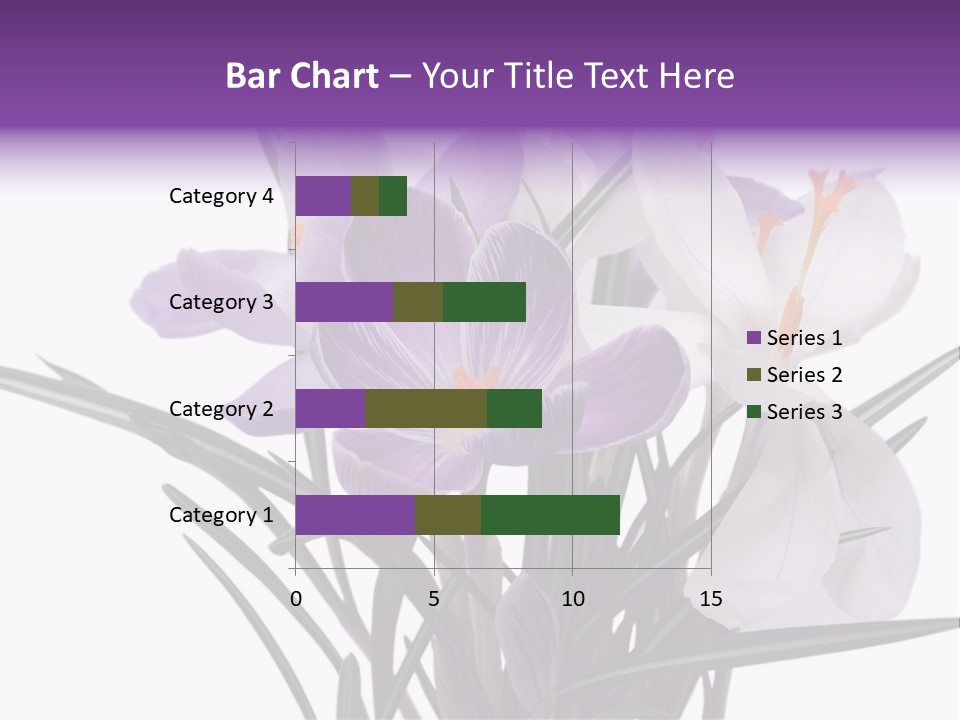 A Vase Filled With Purple And White Flowers PowerPoint Template