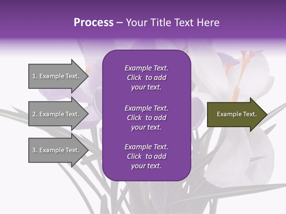 A Vase Filled With Purple And White Flowers PowerPoint Template