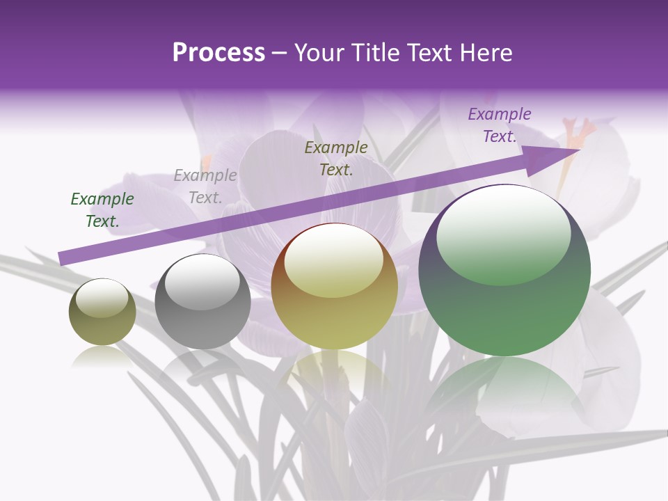 A Vase Filled With Purple And White Flowers PowerPoint Template