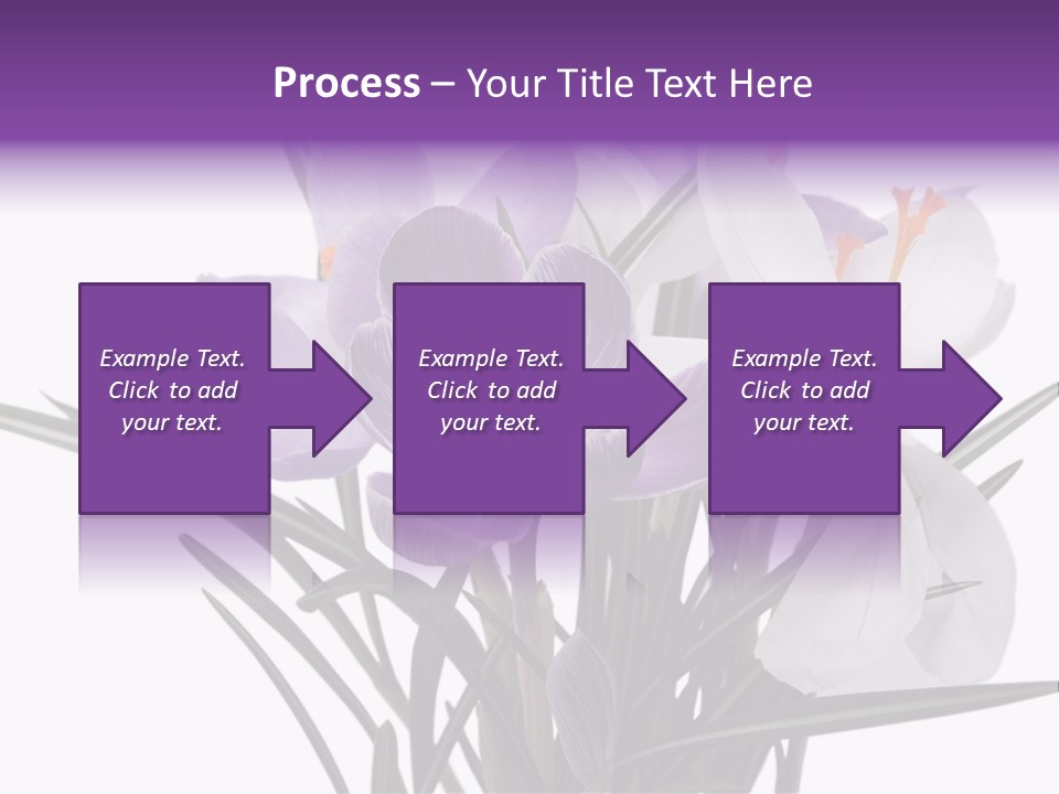 A Vase Filled With Purple And White Flowers PowerPoint Template