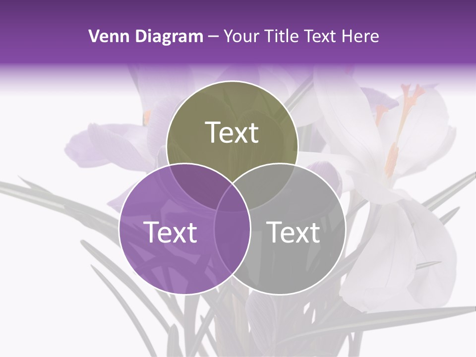 A Vase Filled With Purple And White Flowers PowerPoint Template