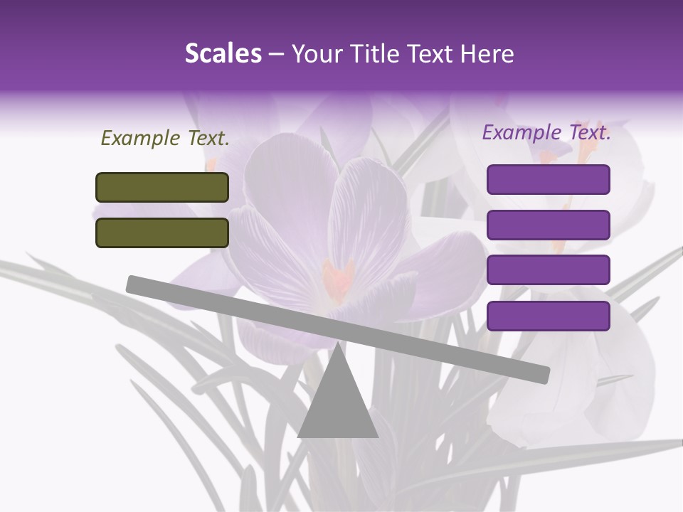 A Vase Filled With Purple And White Flowers PowerPoint Template