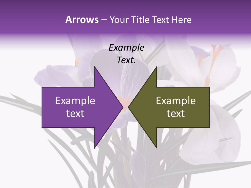 A Vase Filled With Purple And White Flowers PowerPoint Template