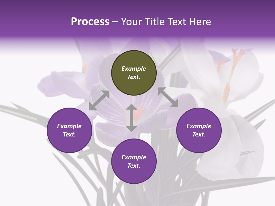 A Vase Filled With Purple And White Flowers PowerPoint Template