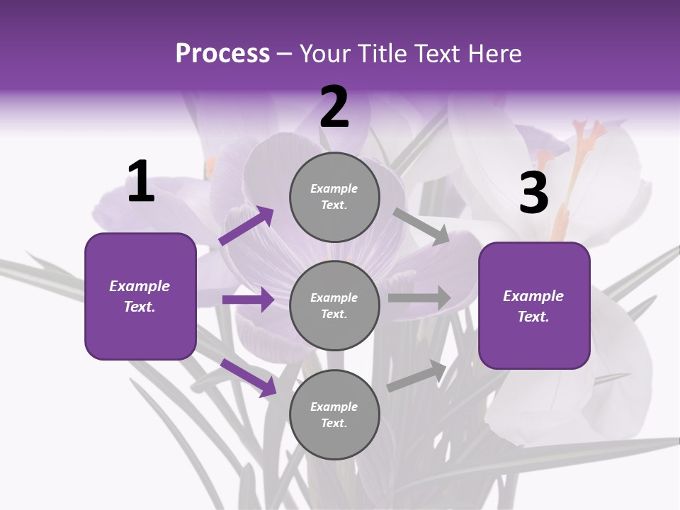 A Vase Filled With Purple And White Flowers PowerPoint Template
