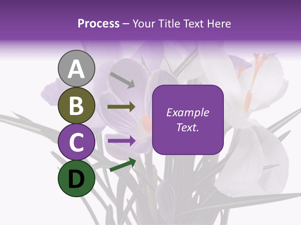 A Vase Filled With Purple And White Flowers PowerPoint Template