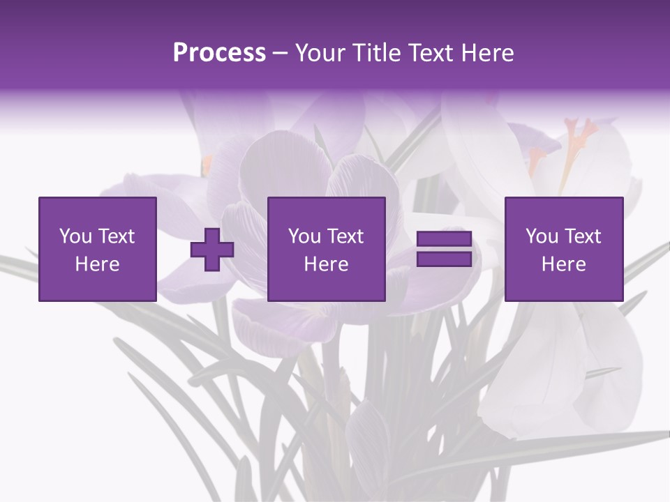 A Vase Filled With Purple And White Flowers PowerPoint Template