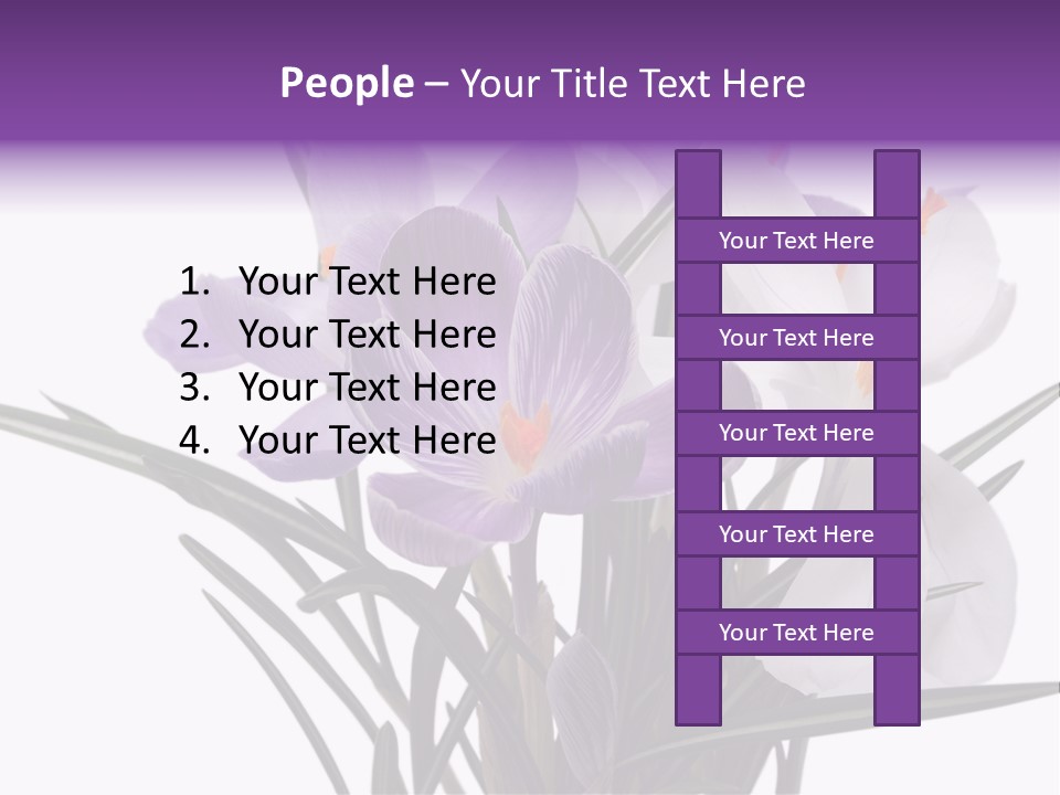 A Vase Filled With Purple And White Flowers PowerPoint Template