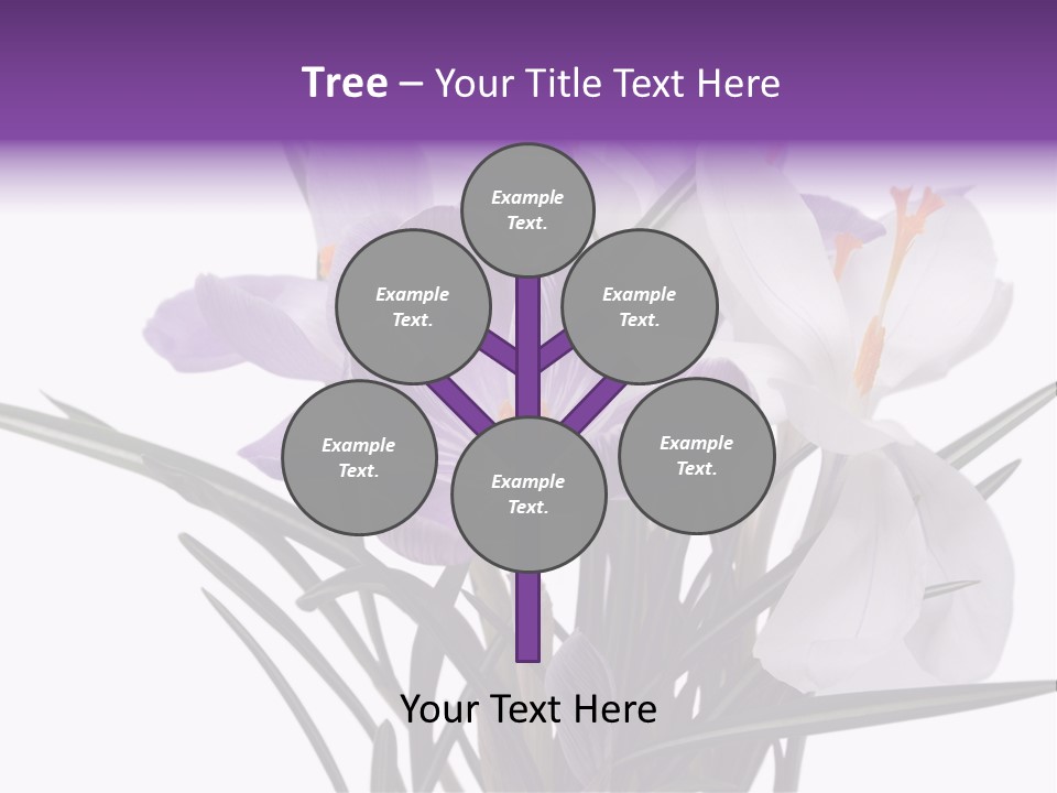 A Vase Filled With Purple And White Flowers PowerPoint Template