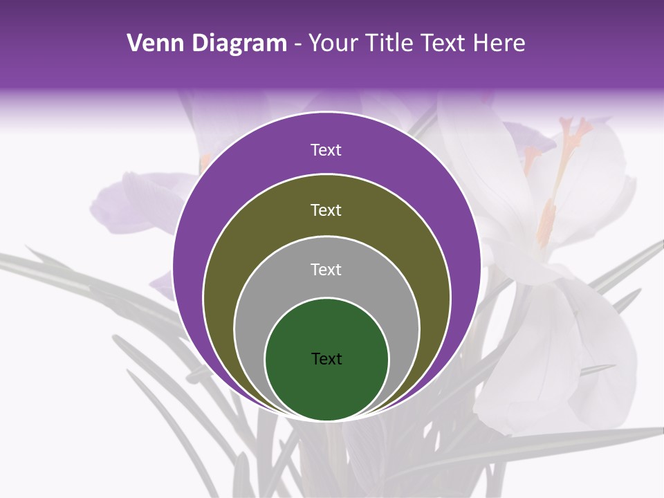 A Vase Filled With Purple And White Flowers PowerPoint Template