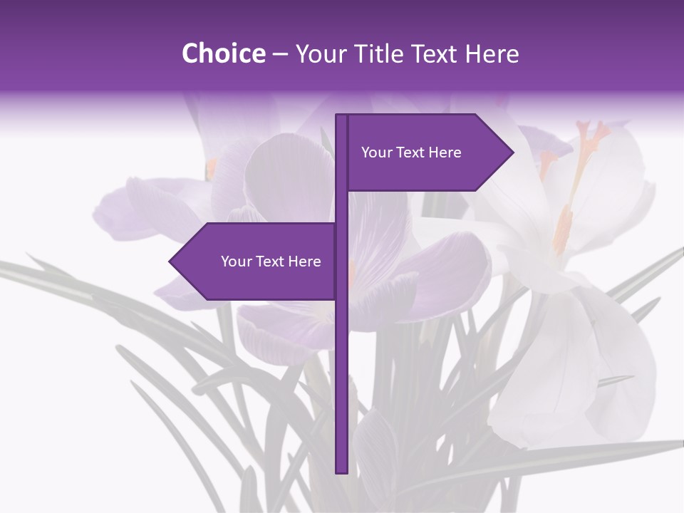 A Vase Filled With Purple And White Flowers PowerPoint Template