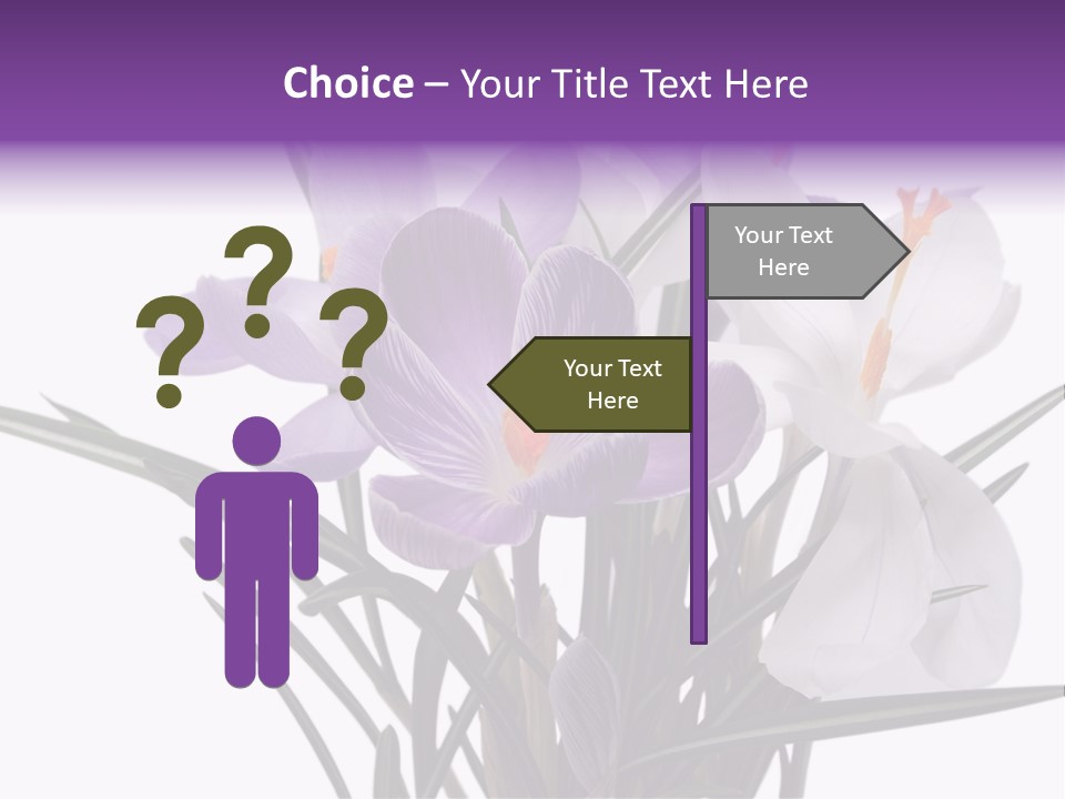 A Vase Filled With Purple And White Flowers PowerPoint Template