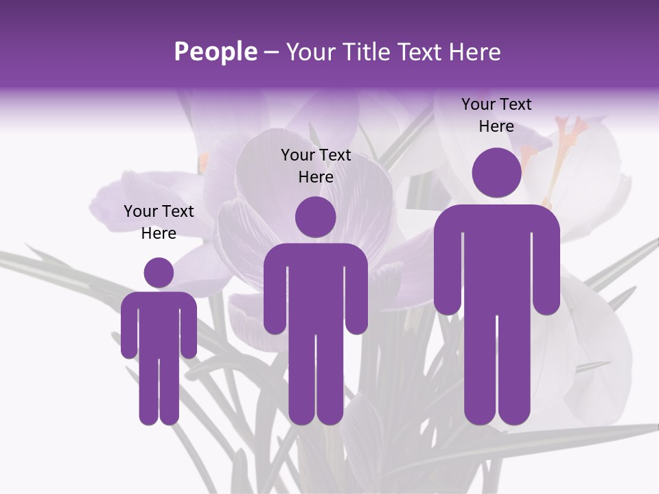 A Vase Filled With Purple And White Flowers PowerPoint Template