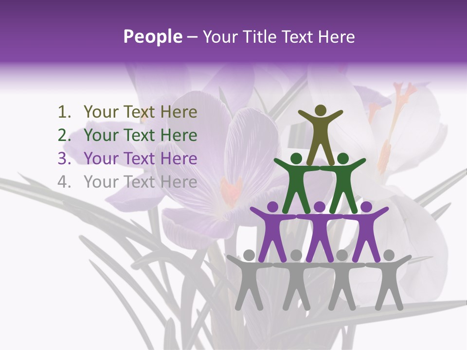 A Vase Filled With Purple And White Flowers PowerPoint Template