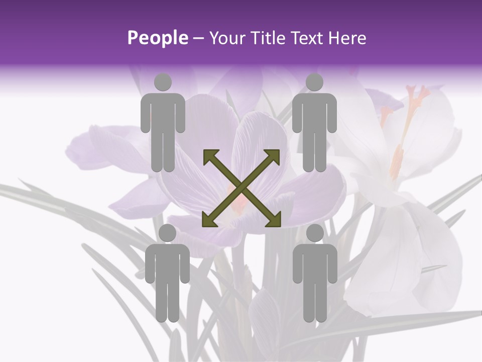 A Vase Filled With Purple And White Flowers PowerPoint Template