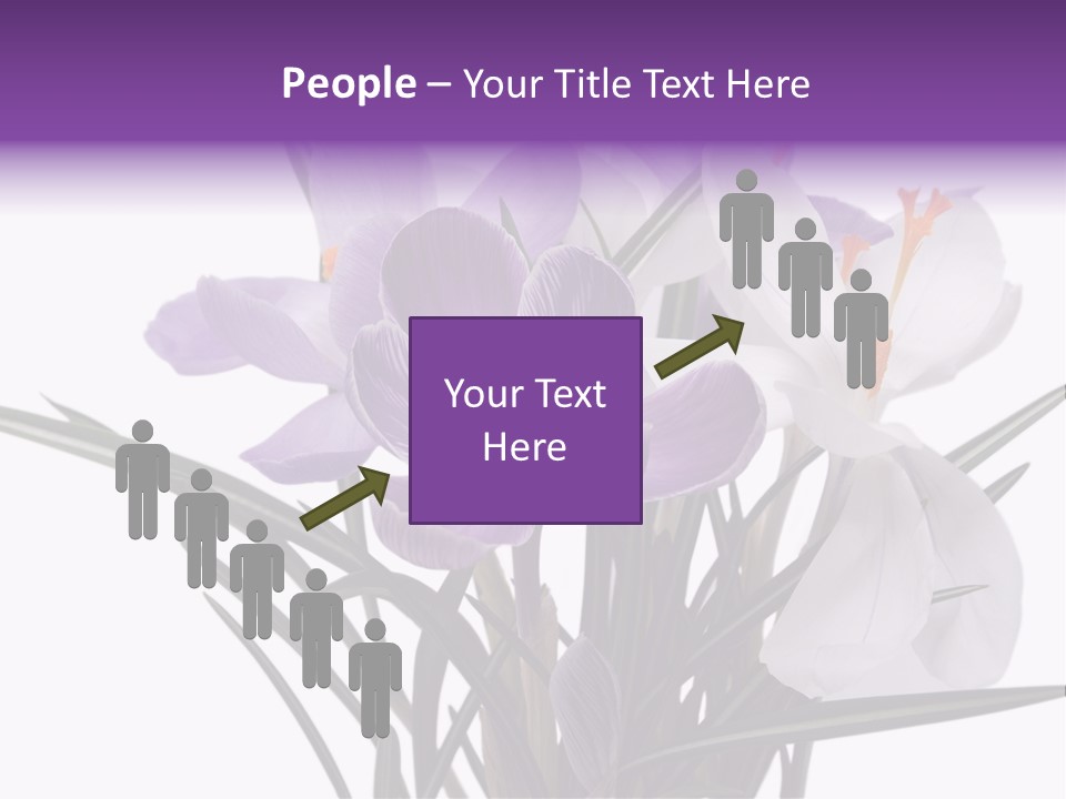 A Vase Filled With Purple And White Flowers PowerPoint Template