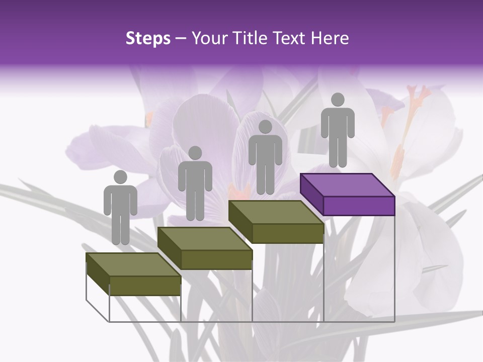 A Vase Filled With Purple And White Flowers PowerPoint Template