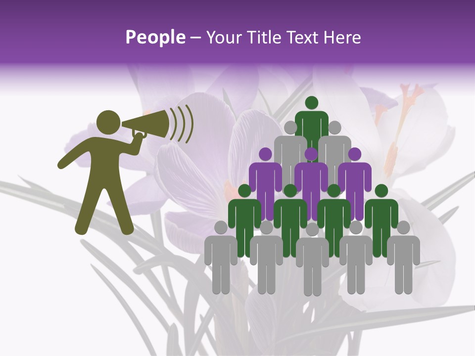 A Vase Filled With Purple And White Flowers PowerPoint Template