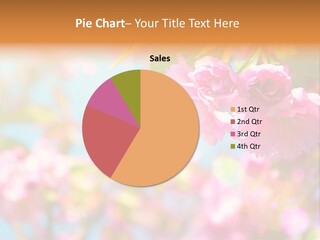 Pink Flowers Are Blooming On A Sunny Day PowerPoint Template