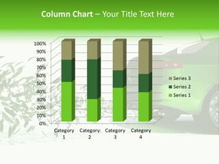 Isolated Ecologic Leaves PowerPoint Template