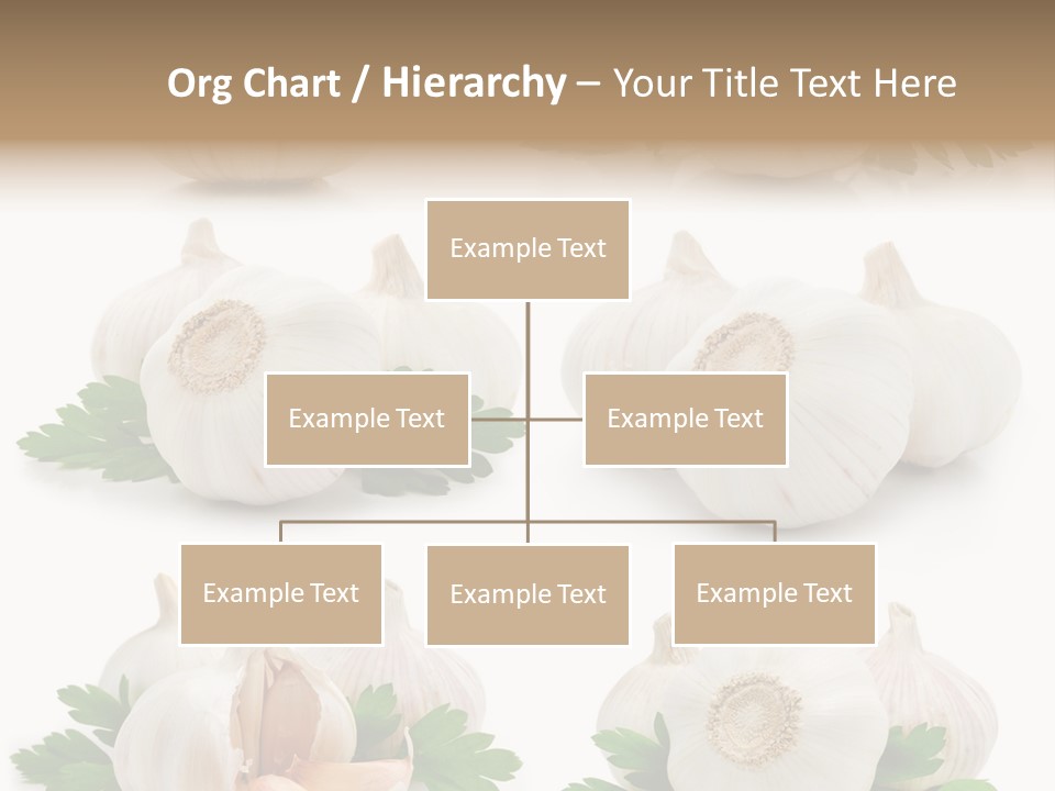 Spice Life Set PowerPoint Template