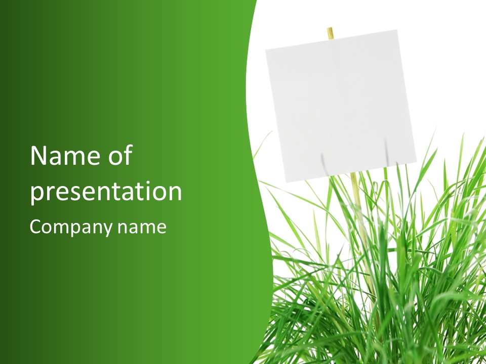 White Grass Dew PowerPoint Template