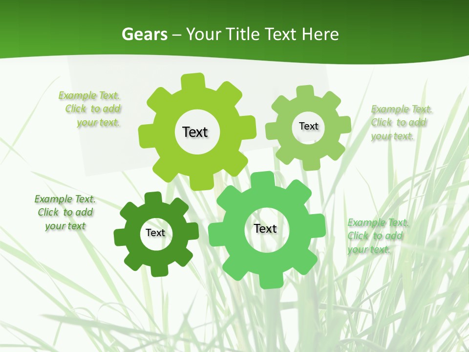 White Grass Dew PowerPoint Template