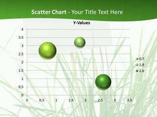 White Grass Dew PowerPoint Template