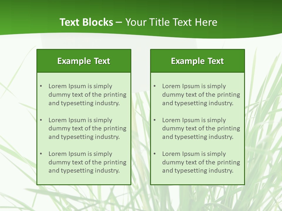 White Grass Dew PowerPoint Template