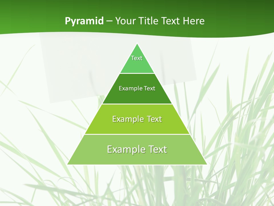 White Grass Dew PowerPoint Template