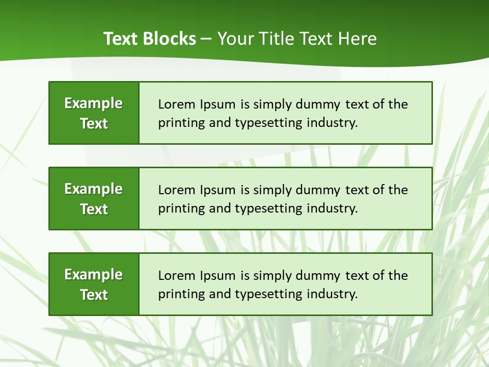 White Grass Dew PowerPoint Template