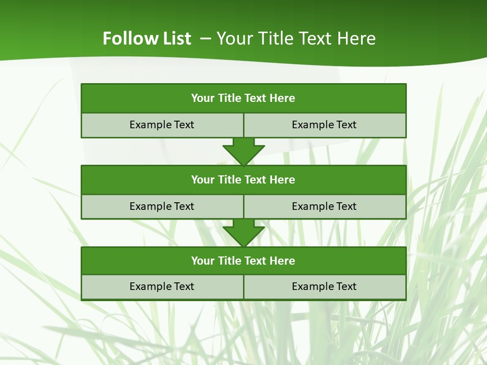 White Grass Dew PowerPoint Template