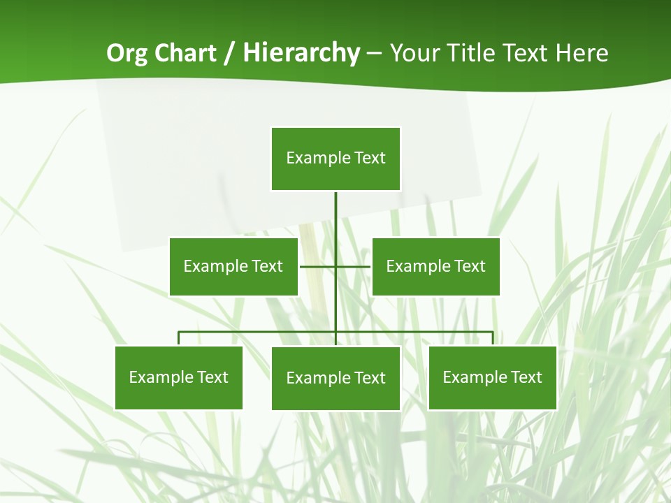 White Grass Dew PowerPoint Template