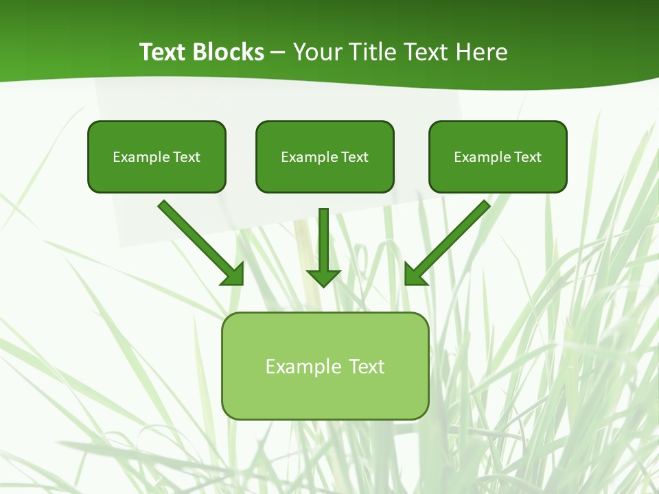 White Grass Dew PowerPoint Template